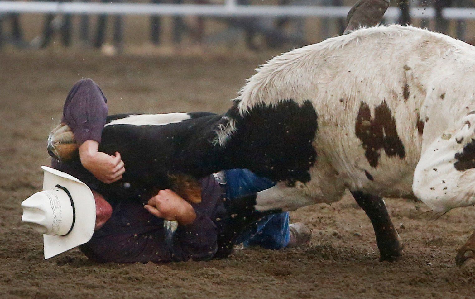 Home of Champions Rodeo